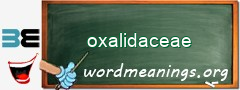 WordMeaning blackboard for oxalidaceae